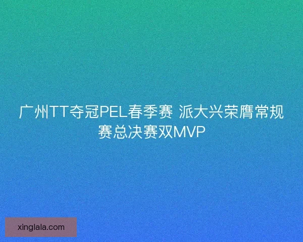 广州TT夺冠PEL春季赛 派大兴荣膺常规赛总决赛双MVP