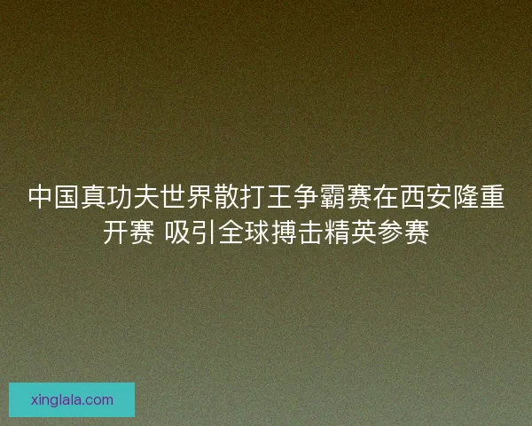 中国真功夫世界散打王争霸赛在西安隆重开赛 吸引全球搏击精英参赛
