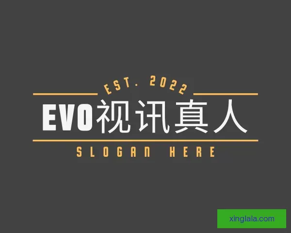 介绍EVO视讯集团